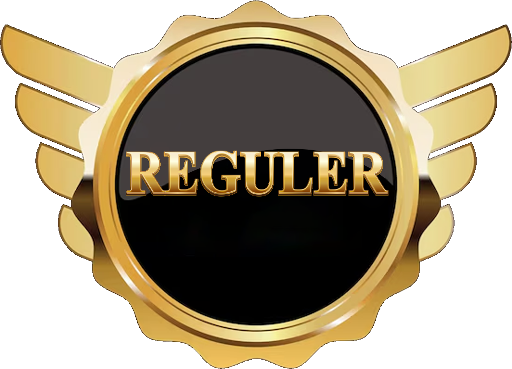 vip_rank